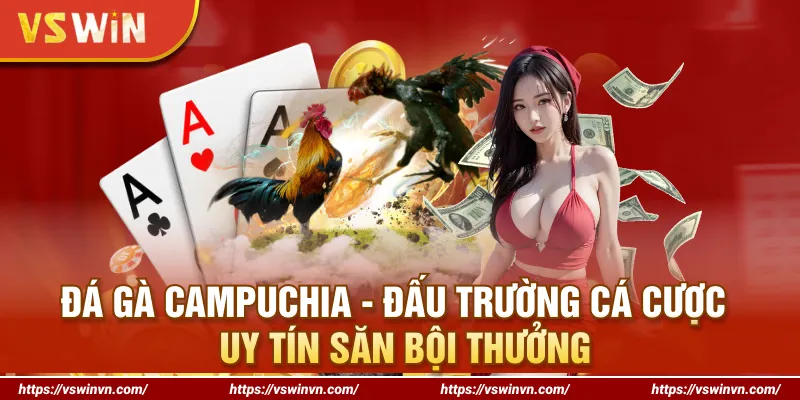 Đá Gà Campuchia - Đấu Trường Cá Cược Uy Tín Săn Bội Thưởng