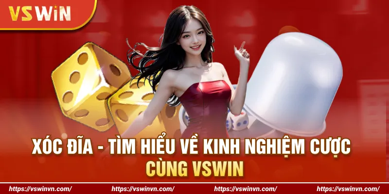 Xóc Đĩa - Tìm Hiểu Về Kinh Nghiệm Cược Cùng VSWIN